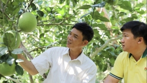 NPK Cà Mau công nghệ polyphosphate chắp cánh nông sản Việt