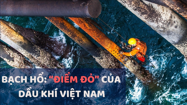 [Infographic] Bạch Hổ: "Điểm đỏ" của dầu khí Việt Nam