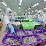 Tin tức kinh tế ngày 13/1: WB dự báo GDP của Việt Nam năm 2022 đạt 5,5%