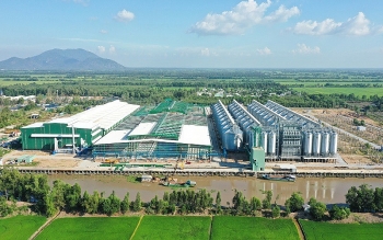 Tin tức kinh tế ngày 18/1: Khánh thành nhà máy gạo lớn nhất châu Á tại An Giang