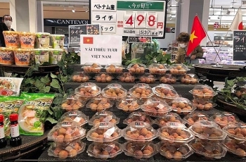 Tin tức kinh tế ngày 12/3: Kiều bào kết nối đưa nông sản Việt Nam sang thị trường Nhật Bản