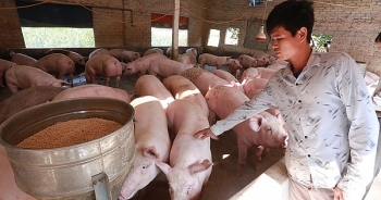 Tin tức kinh tế ngày 18/3: Bộ Nông nghiệp muốn doanh nghiệp không vội tăng giá thức ăn chăn nuôi