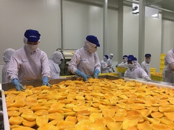 Tin tức kinh tế ngày 17/11: Hoa Kỳ là thị trường nhập khẩu nông sản lớn nhất của Việt Nam