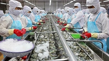 Tin tức kinh tế ngày 17/12: Việt Nam là thị trường cung cấp thủy sản lớn thứ 5 sang Nhật Bản