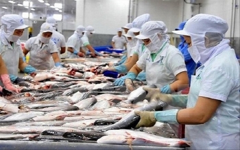 Tin tức kinh tế ngày 31/12: Trung Quốc siết chặt quy định nhập khẩu thực phẩm