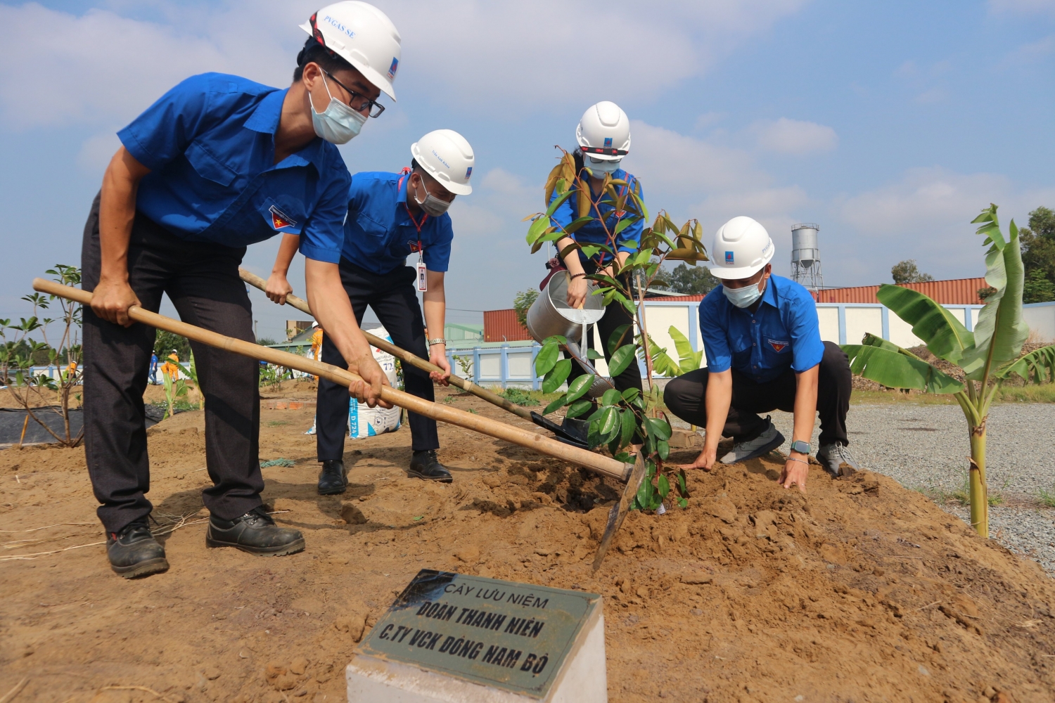 KĐN phát động đợt 2 chương trình trồng cây “Chung tay vì màu xanh trên công trình khí” KĐN phát động đợt 2 chương trình trồng cây “Chung tay vì màu xanh trên công trình khí”