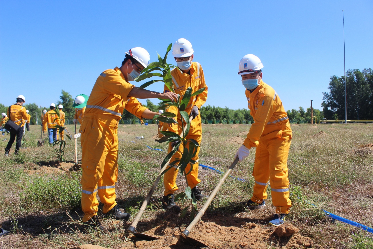 KĐN tiếp tục chương trình trồng cây trên công trình khí tại Trung tâm Phân phối Khí Nhơn Trạch KĐN tiếp tục chương trình trồng cây trên công trình khí tại Trung tâm Phân phối Khí Nhơn Trạch
