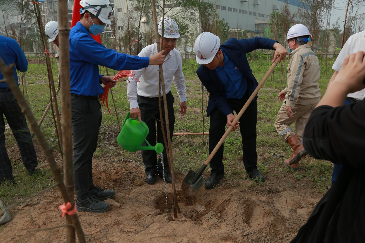 Petrovietnam phát động chương trình trồng 3 triệu cây xanh tại các công trình, địa phương có hoạt động Dầu khí