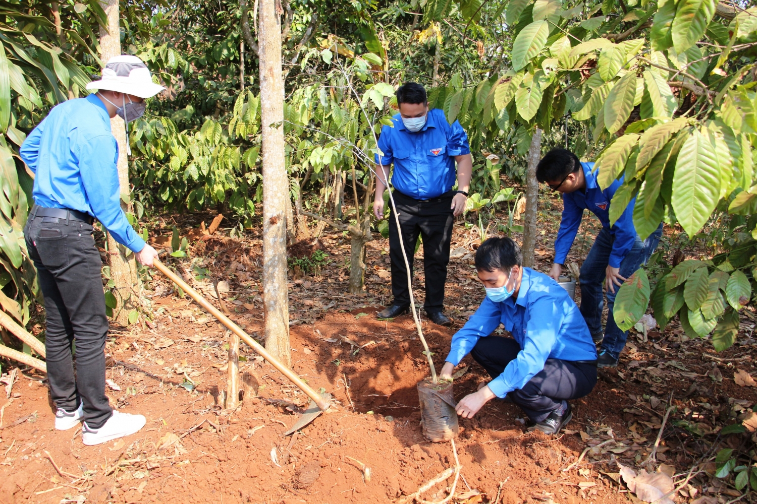 Tuổi trẻ Khối DNTW: Sôi nổi hoạt động Tháng Thanh niên 2020 tuoi tre khoi dntw soi noi hoat dong thang thanh nien 2020