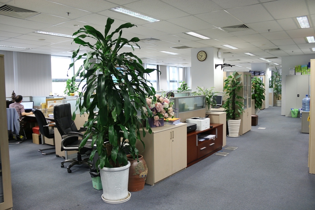 Diện mạo mới với 5S tại Cơ quan Tập đoàn Diện mạo mới với 5S tại Cơ quan Tập đoàn