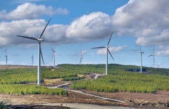 EVN: Thêm 5 nhà máy điện gió được cấp COD