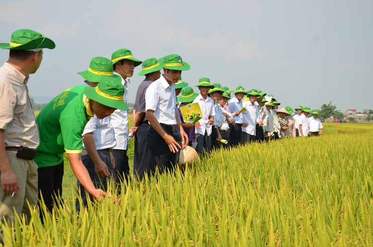 Tuổi 18 PVFCCo: Mùa hoa đẹp nhất! Tuổi 18 PVFCCo: Mùa hoa đẹp nhất!