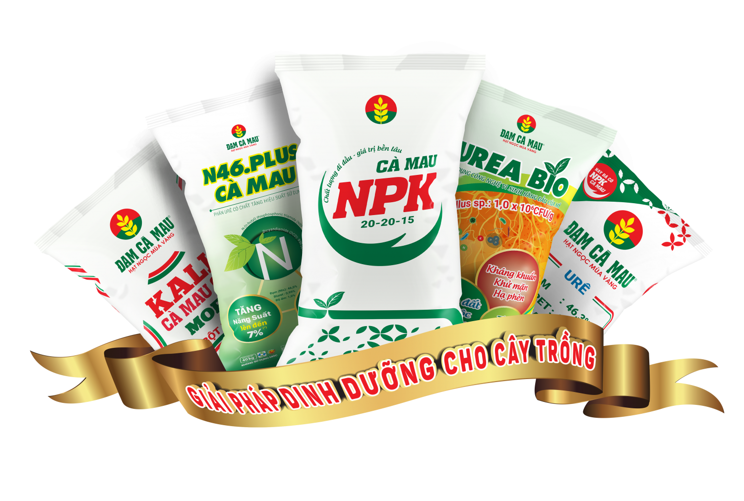 Phân bón Cà Mau đạt Giải Vàng Chất lượng Quốc gia: Phần thưởng cho những nỗ lực bền bỉ Phân bón Cà Mau đạt Giải Vàng Chất lượng Quốc gia: Phần thưởng cho những nỗ lực bền bỉ