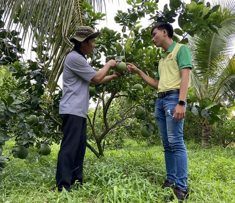 Phân bón Cà Mau đạt Giải Vàng Chất lượng Quốc gia: Phần thưởng cho những nỗ lực bền bỉ Phân bón Cà Mau đạt Giải Vàng Chất lượng Quốc gia: Phần thưởng cho những nỗ lực bền bỉ