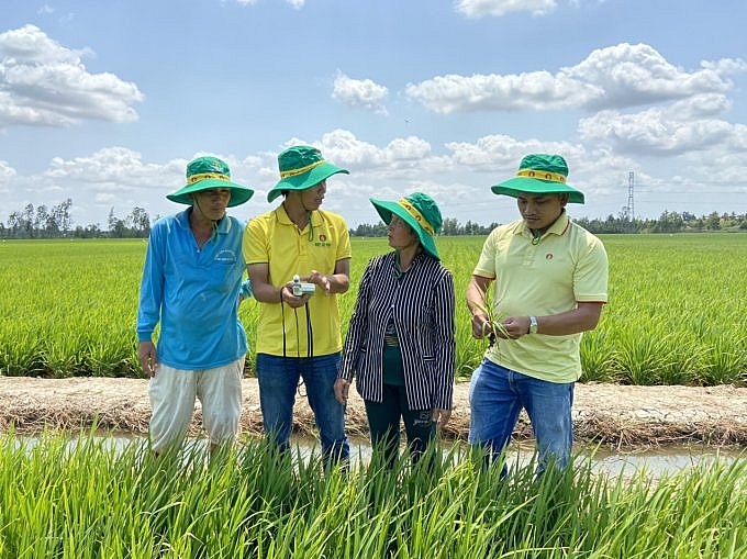 Giá phân bón trong nước diễn biến theo quy luật thị trường thế giới Giá phân bón trong nước diễn biến theo quy luật thị trường thế giới
