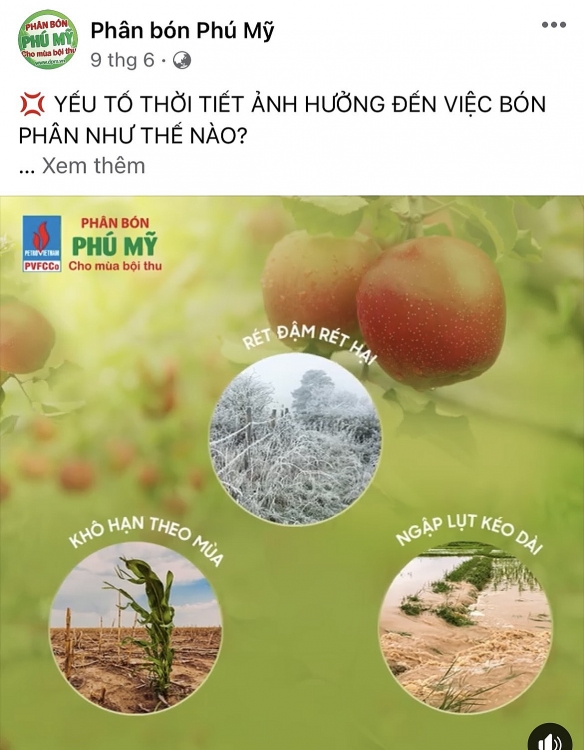 Nỗ lực và tấm lòng của PVFCCo trong đại dịch Covid-19