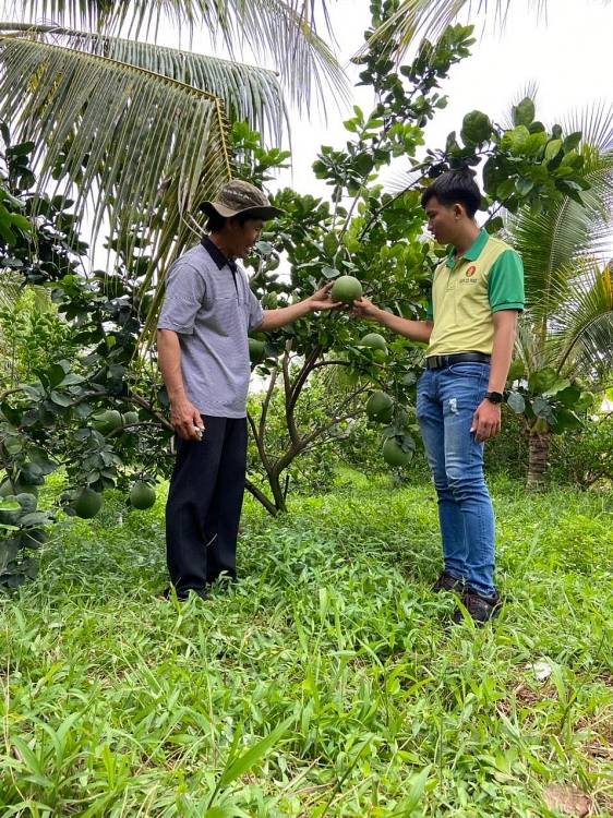 Đạm Cà Mau cán mốc 7 triệu tấn urê dam ca mau can moc 7 trieu tan ure