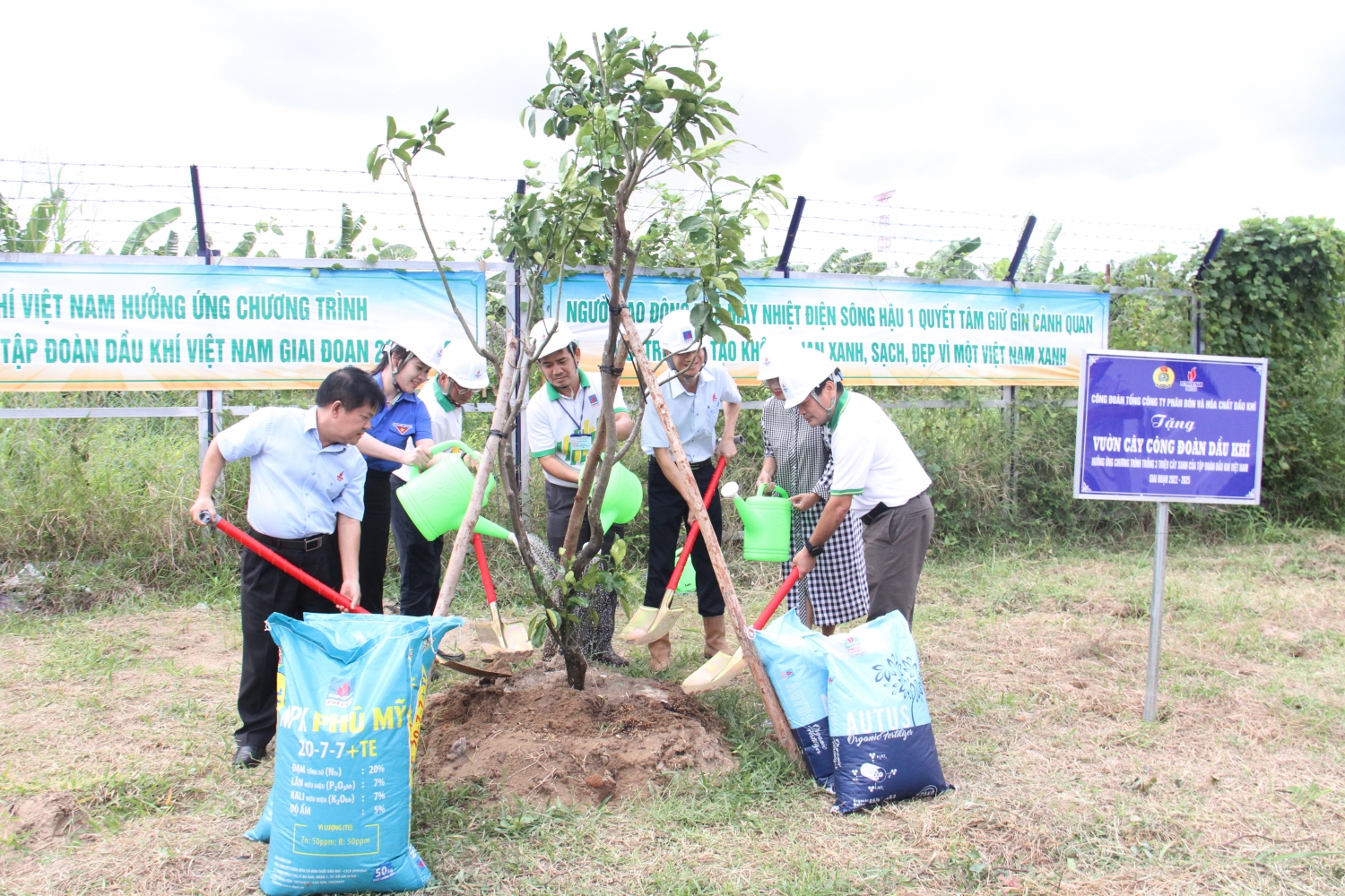 Đại diện PVFCCo, Ban QLDA Sông Hậu 1 thực hiện nghi thức trồng cây Đại diện PVFCCo, Ban QLDA Sông Hậu 1 thực hiện nghi thức trồng cây