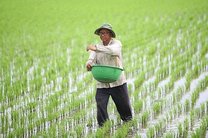 Đưa phân bón vào diện chịu thuế VAT: Ích nước, lợi dân! dua phan bon vao dien chiu thue vat ich nuoc loi dan